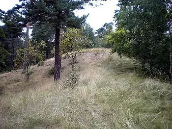 Das Grab von Björn Eisenseite auf der Insel Munsö